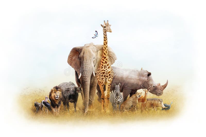 Africain Safari Animal Fantasy Land
