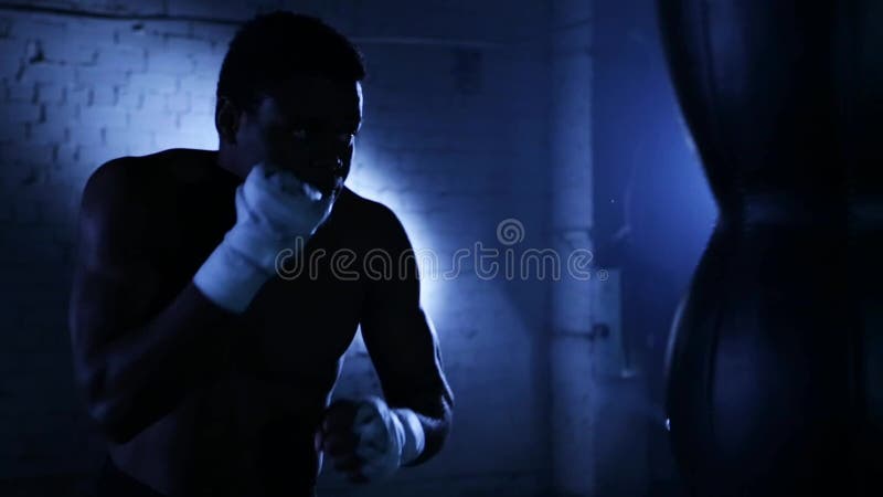 Shadow Boxing. Black Silhouette on a White Background, Sports Stock Footage  ft. alpha & boxer - Envato Elements