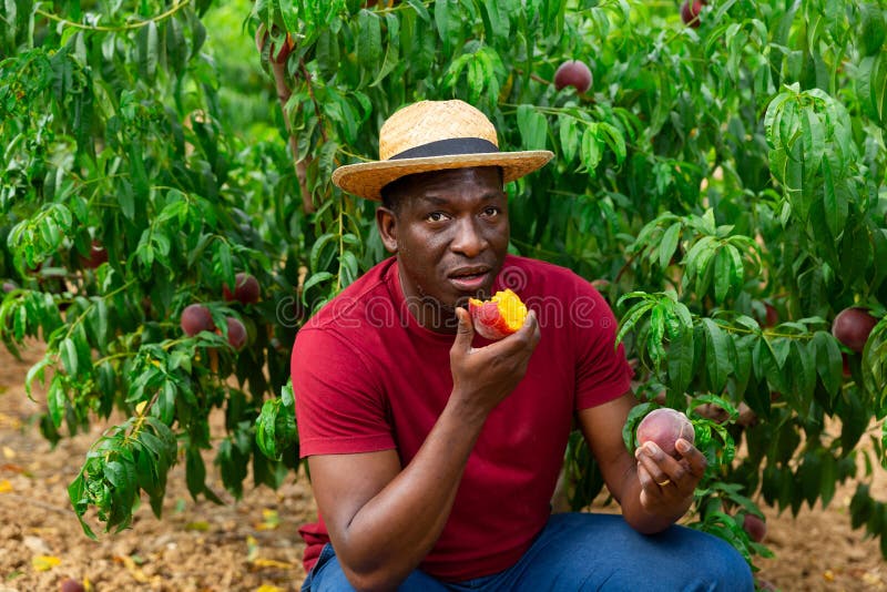 Man eating peach stock image. Image of moroccan, 3035 267365649