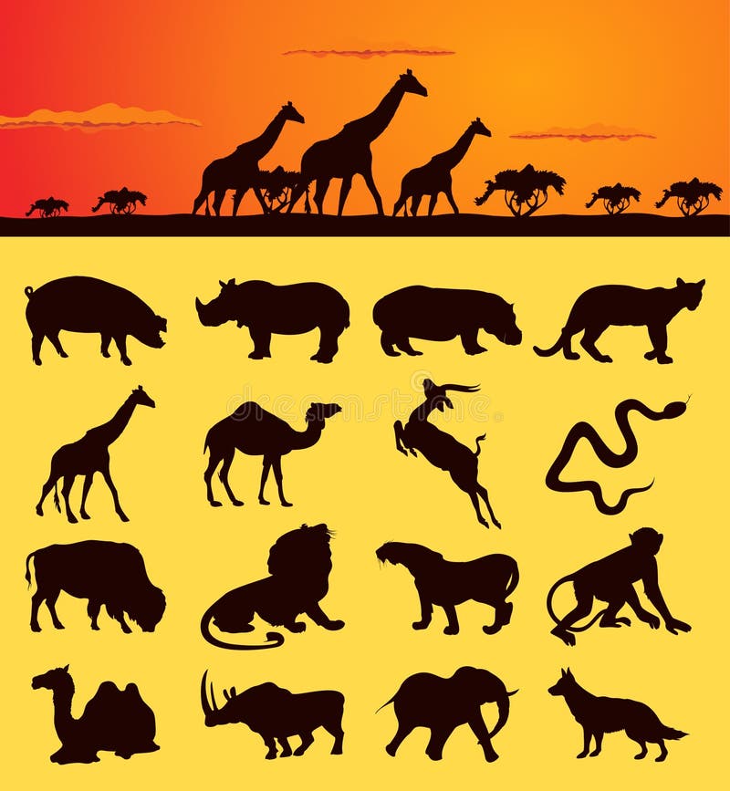 African animals