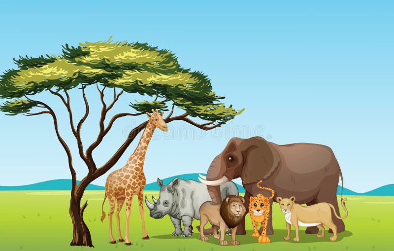 African animals stock illustration African animals stock illustration