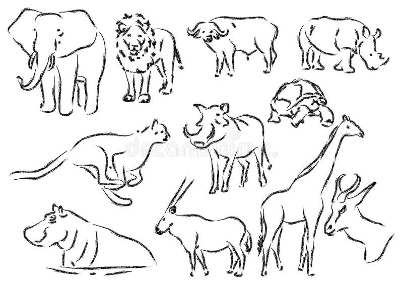 African Animals stock illustration. Illustration of sketch - 5824578