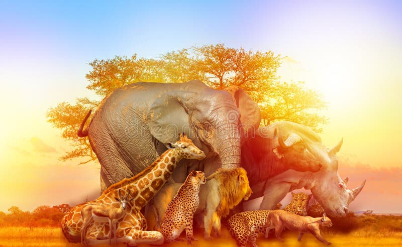 758,676 Wild Animals Stock Photos - Free & Royalty-Free Stock Photos from Dreamstime 758,676 Wild Animals Stock Photos - Free & Royalty-Free Stock Photos from Dreamstime