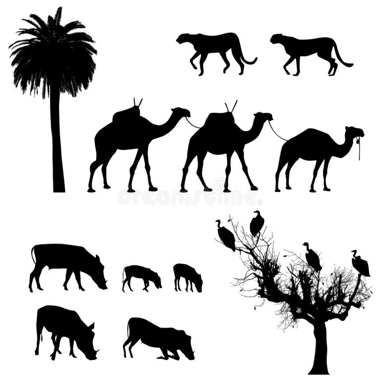 Predator Prey Animals Stock Illustrations – 3,166 Predator Prey Animals