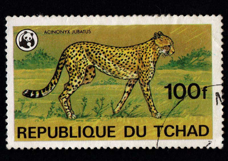 African cheetah depicted on postage stamp. Chad postage stamp