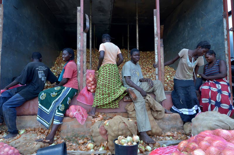 African farmers royalty free stock image African farmers royalty free stock image