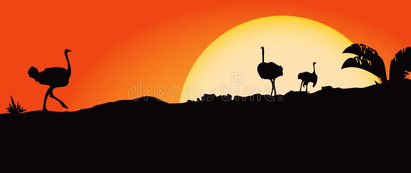 African landscape with ostriches and sun. Vector illustration.