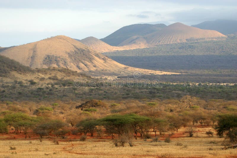 African Savanna