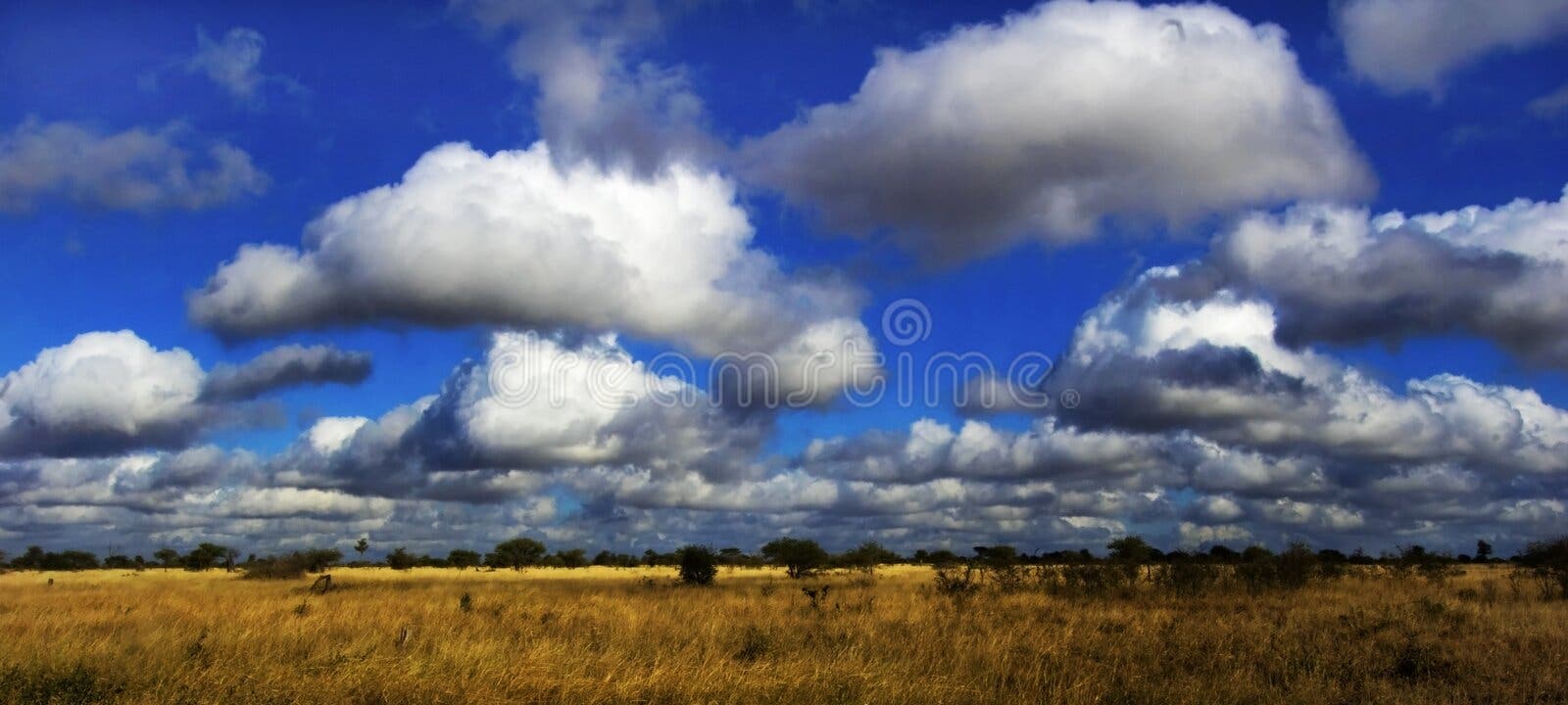Autumn prairie stock image. Image of open, bluestem, canada - 34509109