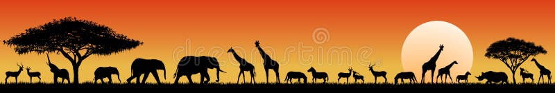African Savanna Animals at Sunset Stock Vector - Illustration of giraffe,  acacia: 150640916