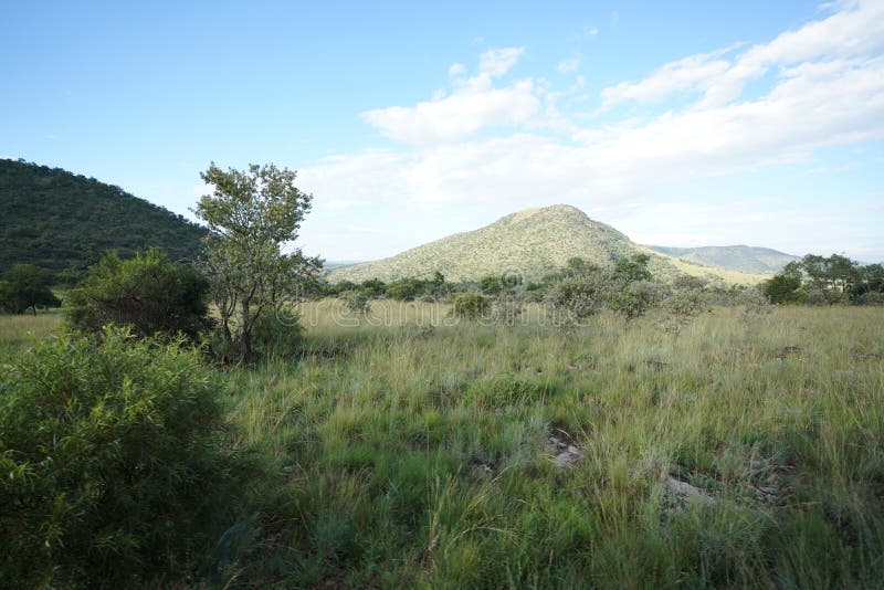 masse of the savanes in upper volta masse of the savanes in upper volta