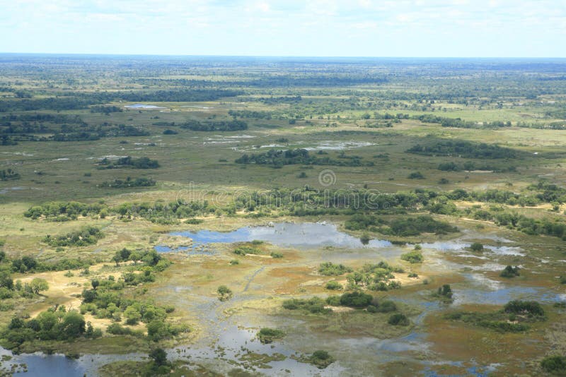 African savannah summer pictrures wild safari Tanzania Rwanda Botswana Kenya