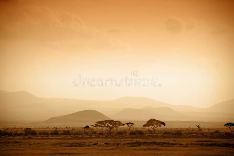 African savannah at sunrise royalty free stock photo African savannah at sunrise royalty free stock photo