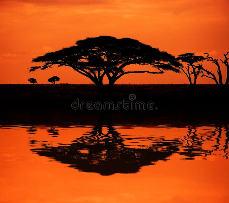 African sunset