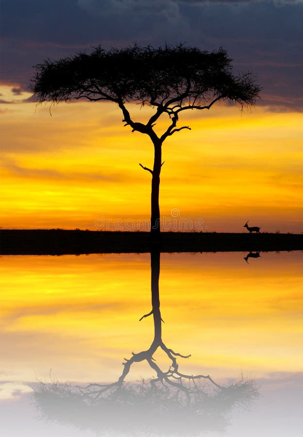 African Sunset