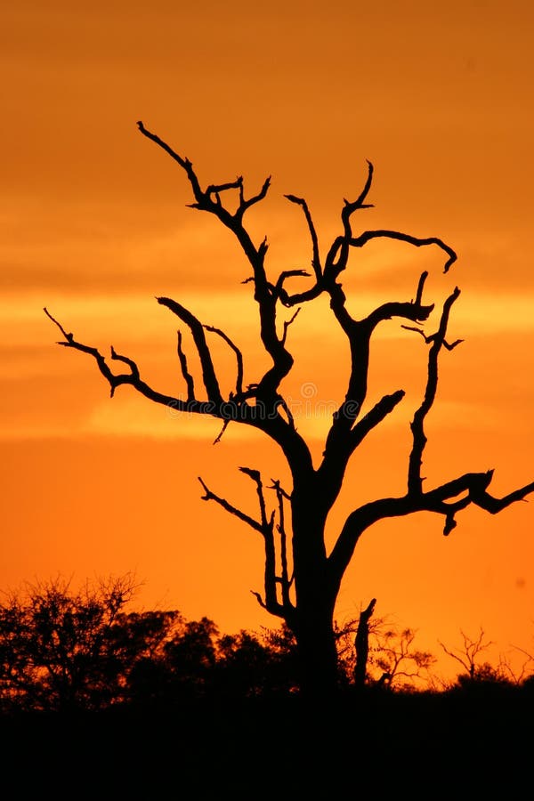 African sunset 3