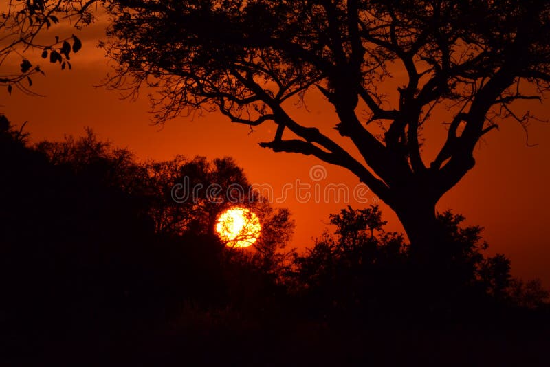 African Sunset stock photography African Sunset stock photography