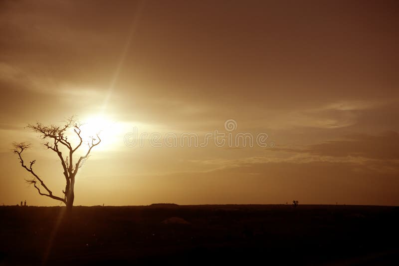 African sunset warm brown golden sky colors royalty free stock photo African sunset warm brown golden sky colors royalty free stock photo