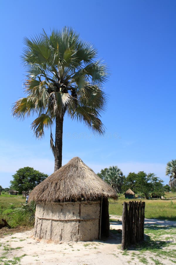 African Thatched Hut With Palm Tree In Northern Botswana Stock Photo