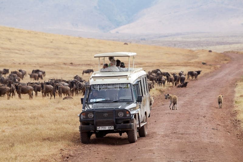 Image result for Ngorongoro Crater Game drive