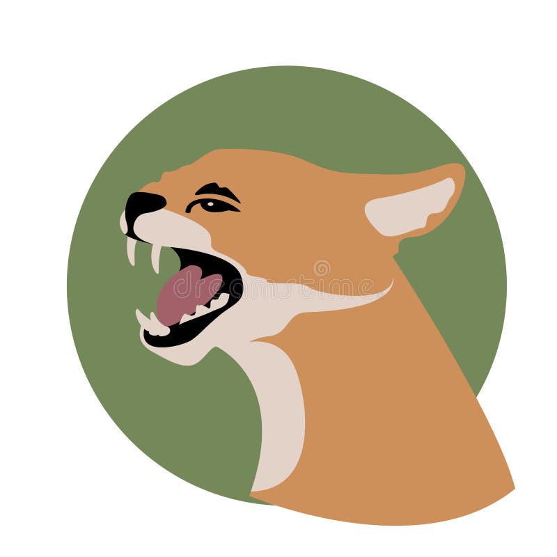 African Wild Cat Head Vector Illustration Stock Vector - Illustration
