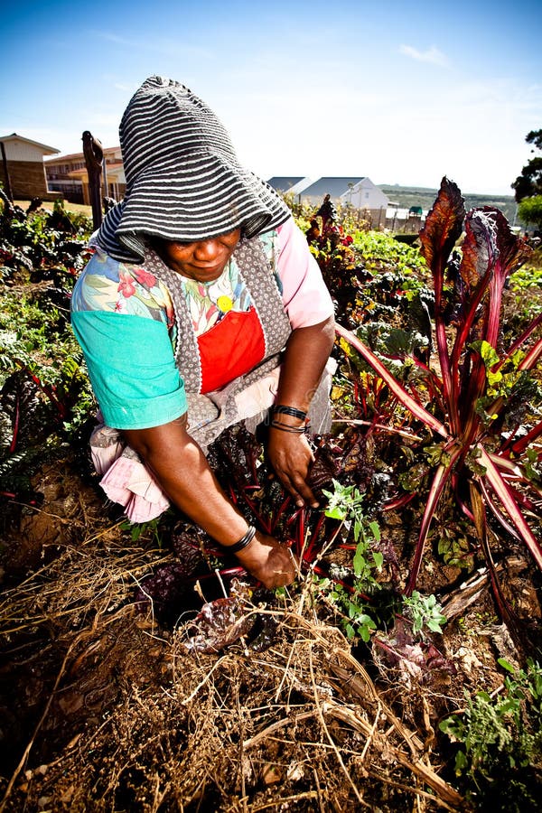 African woman works in her garden