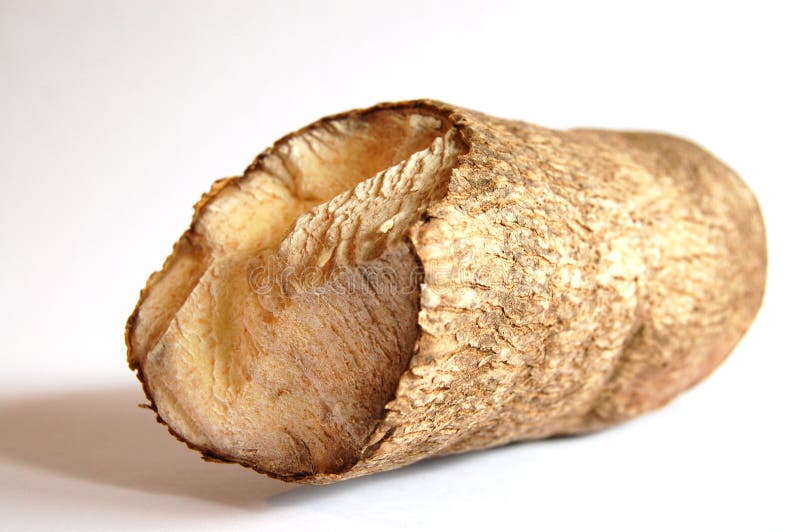 African yam stock image. Image of multicultural, carbohydrates 256333