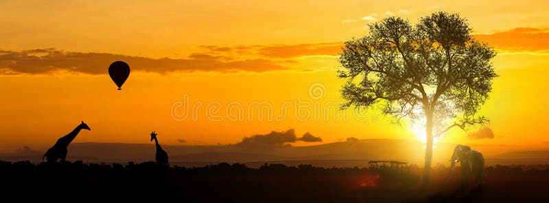 Africano Safari Adventure Header foto de stock Africano Safari Adventure Header foto de stock