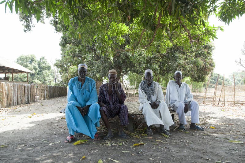 Afrikaanse dorpsleider en oudstenraad stock afbeeldingen Afrikaanse dorpsleider en oudstenraad stock afbeeldingen