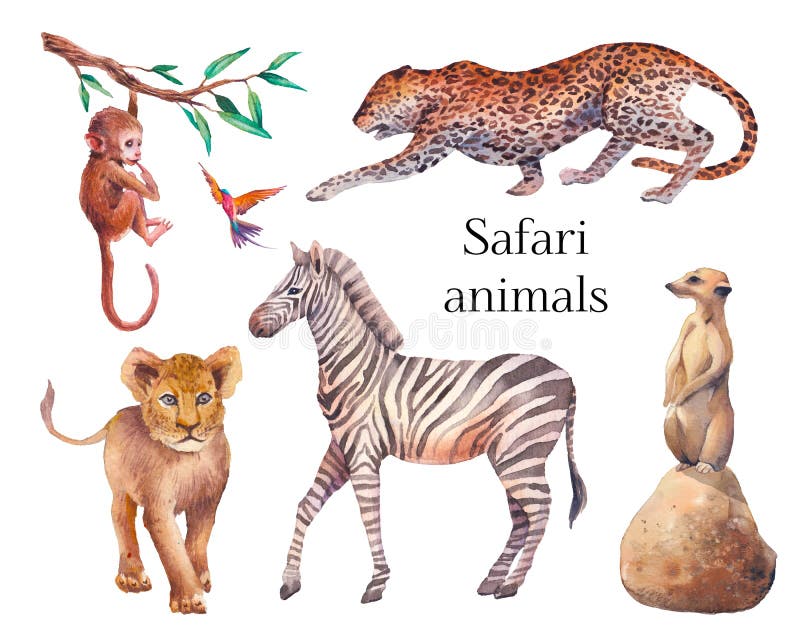 Afrikaanse fauna set