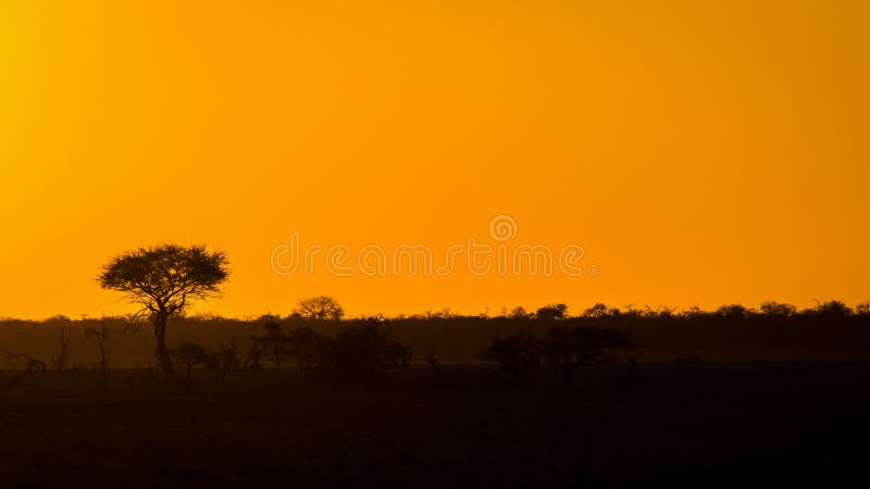 Afrikaanse Hemel bij Zonsondergang royalty-vrije stock foto's Afrikaanse Hemel bij Zonsondergang royalty-vrije stock foto's