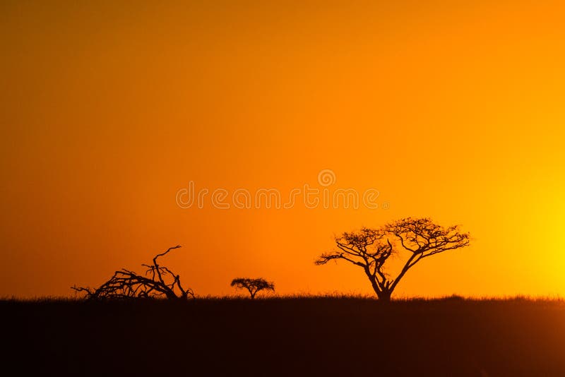 Afrikaanse Zonsondergang Zuid-Afrika royalty-vrije stock foto's Afrikaanse Zonsondergang Zuid-Afrika royalty-vrije stock foto's