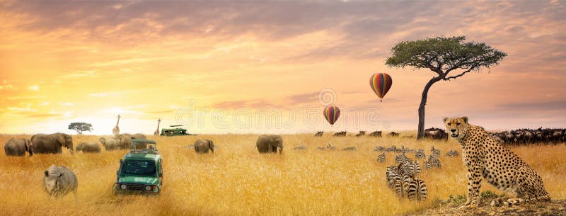 Afrikan Safari Scene Web Banner royaltyfri foto Afrikan Safari Scene Web Banner royaltyfri foto