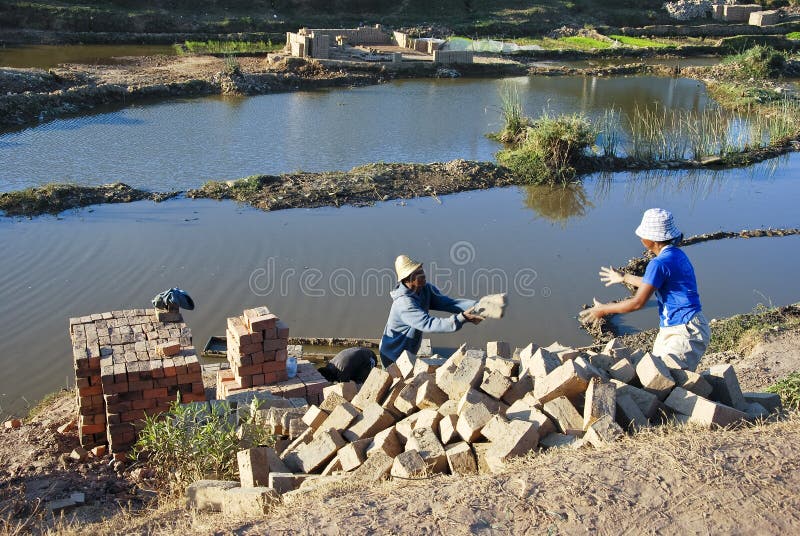 Afrikaner som hårt arbetar i brickyard
