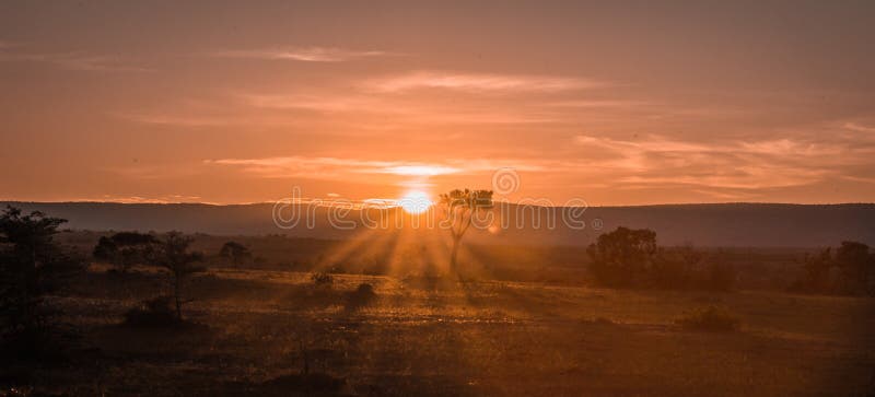 Afrikanische Landschaft Mit Einem Baum Bei Sonnenuntergang In Kenia Stockbild Bild Von Afrikanische Kenia