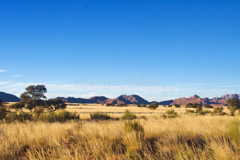 Afrikanische Savannelandschaft lizenzfreie stockfotografie Afrikanische Savannelandschaft lizenzfreie stockfotografie