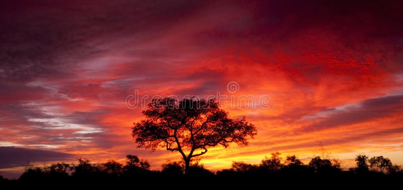 Afrikanischer Sonnenuntergang lizenzfreie stockfotografie Afrikanischer Sonnenuntergang lizenzfreie stockfotografie