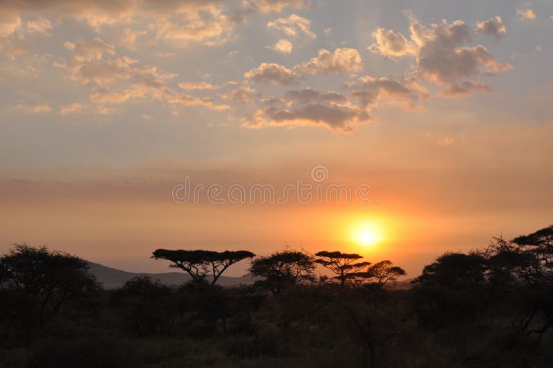 Afrikanischer Sonnenuntergang stockfotografie Afrikanischer Sonnenuntergang stockfotografie