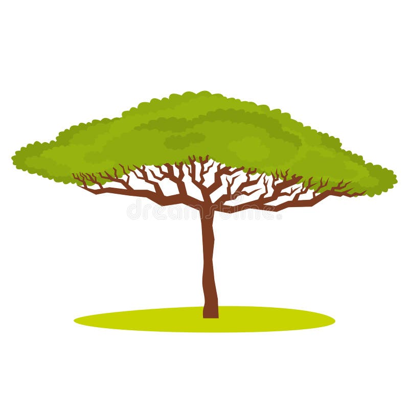 Afrikansk akaciaträdvektor vektor illustrationer Afrikansk akaciaträdvektor vektor illustrationer