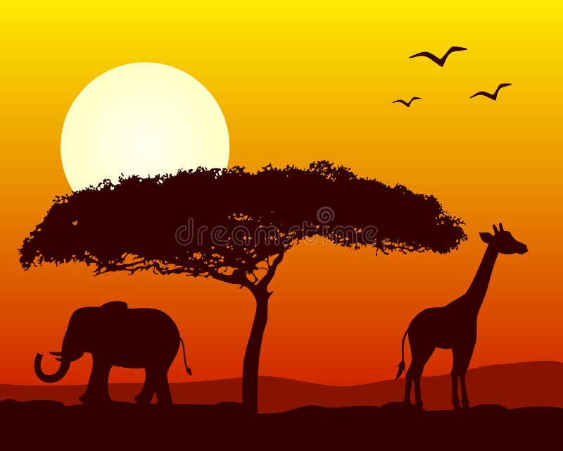 afrikansk liggandesolnedgång stock illustrationer afrikansk liggandesolnedgång stock illustrationer