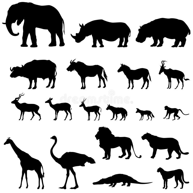 afrikanska djur inställda silhouettes Boskapdjur av den tropiska zonen stock illustrationer afrikanska djur inställda silhouettes Boskapdjur av den tropiska zonen stock illustrationer