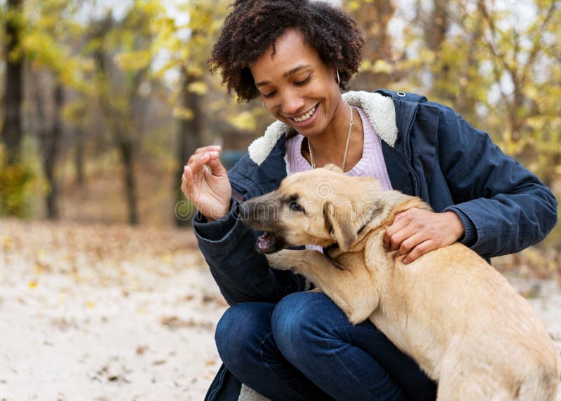 Afro-Amerikaans meisje in de herfstpark het spelen met haar hond stock foto Afro-Amerikaans meisje in de herfstpark het spelen met haar hond stock foto