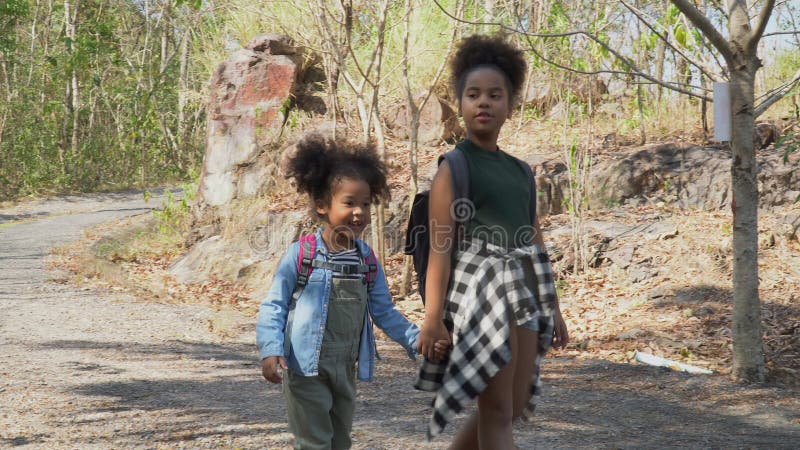 Afro-américaine mignonne petite soeur randonnée dans une forêt. deux filles noires en excursion sur le terrain nature. groupe d' banque de vidéos