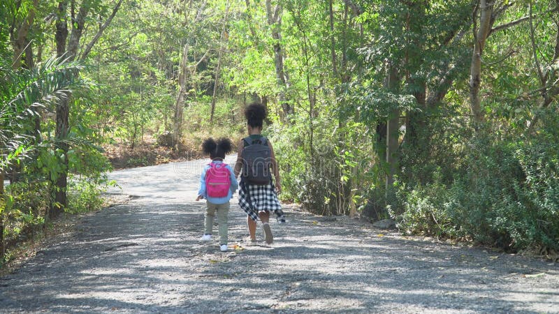 Afro-américaine mignonne petite soeur randonnée dans une forêt. deux filles noires en excursion sur le terrain nature. groupe d' banque de vidéos