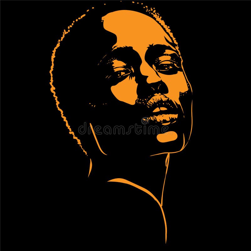 Afrykańska kobieta portreta sylwetka w kontrasta backlight wektor ilustracja