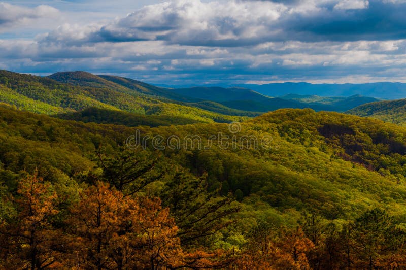 Aftonsikt av de Appalachian bergen i den Shenandoah nationalparken, Virginia. royaltyfri foto