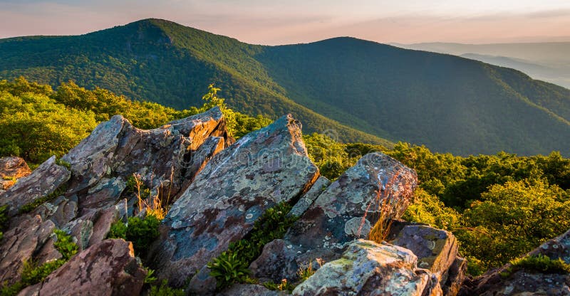 Aftonsikten in mot den Hawksbill toppmötet från Bettys vaggar, i den Shenandoah nationalparken arkivfoto