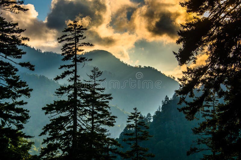 Aftonsikten sörjer igenom träd från en förbise på Newfound Gap arkivbilder