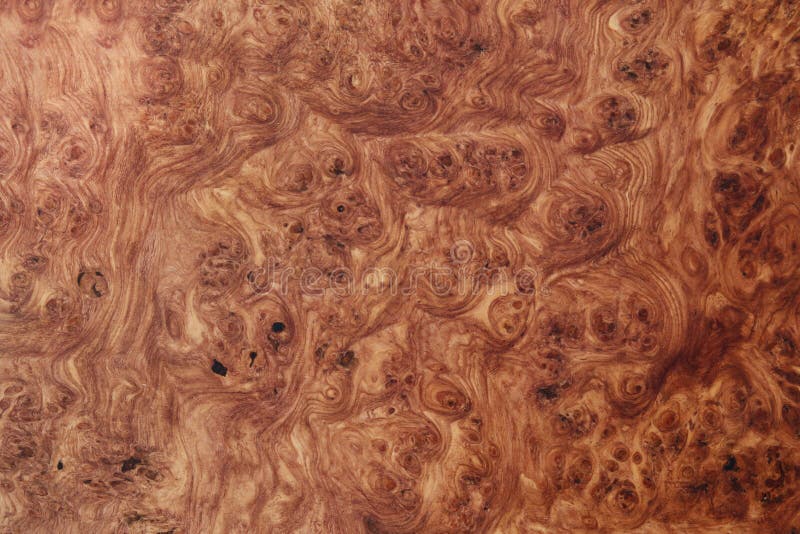 Afzelia burl egzota drewniany tło