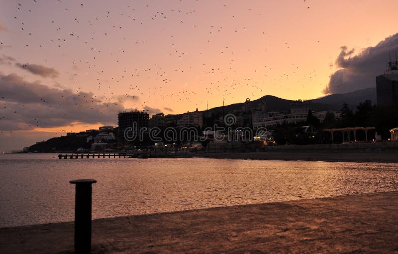 Against the backdrop of a bright orange sunset over the embankment of Yalta birds fly stock images Against the backdrop of a bright orange sunset over the embankment of Yalta birds fly stock images